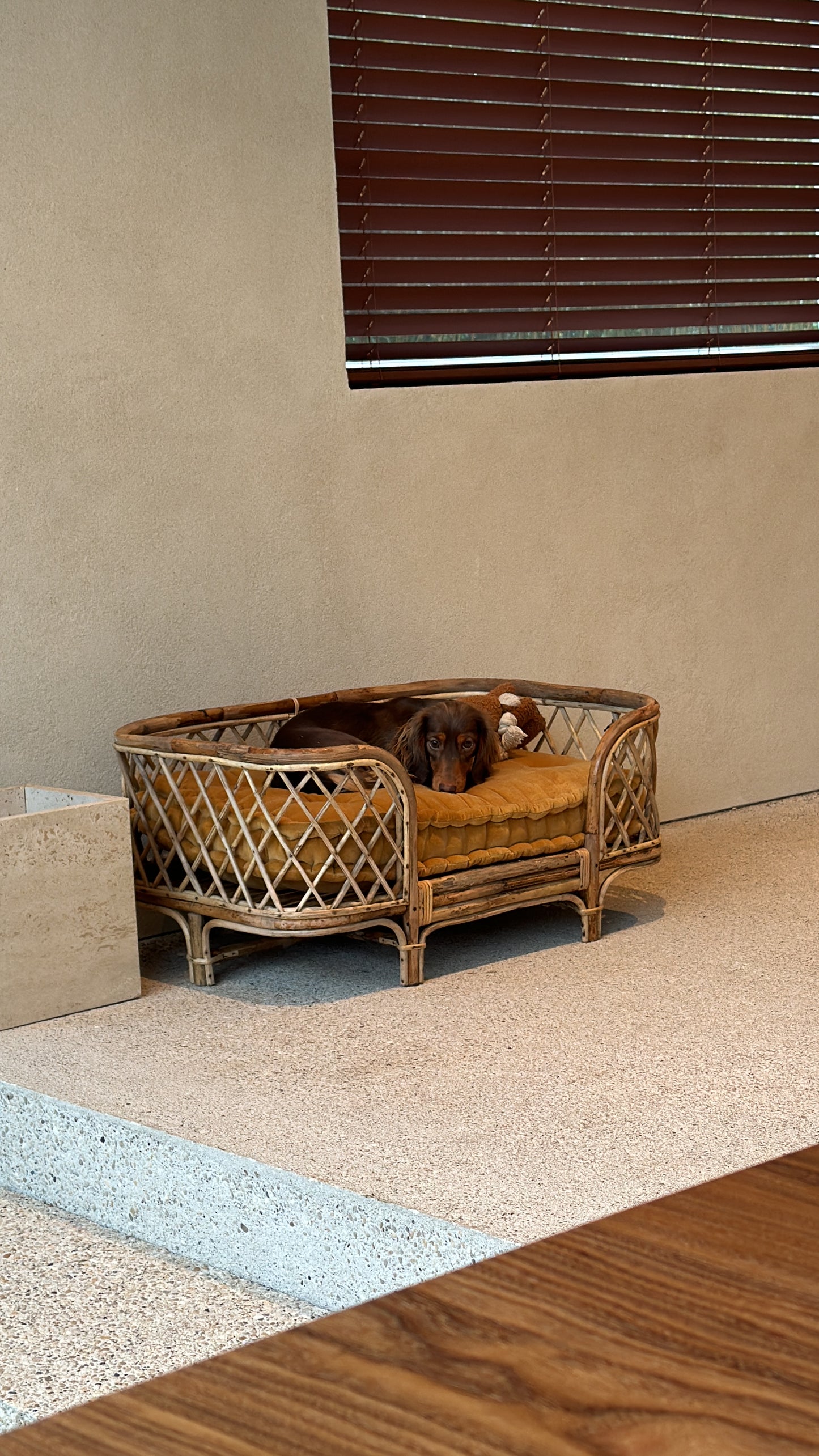 Dog basket and pillow