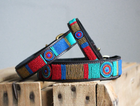 Dog Collars - medium