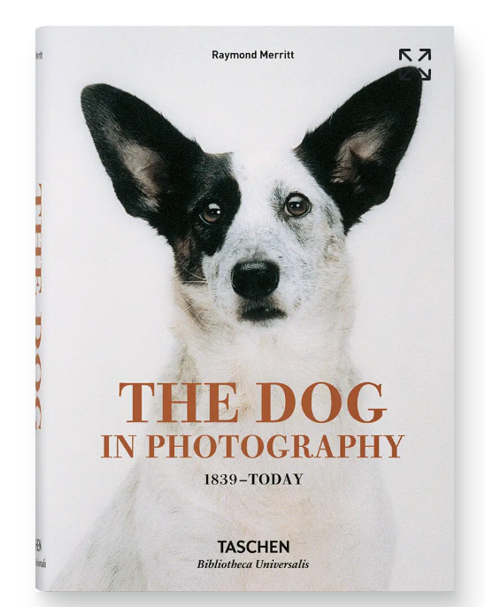 Coffee table books - Tashen