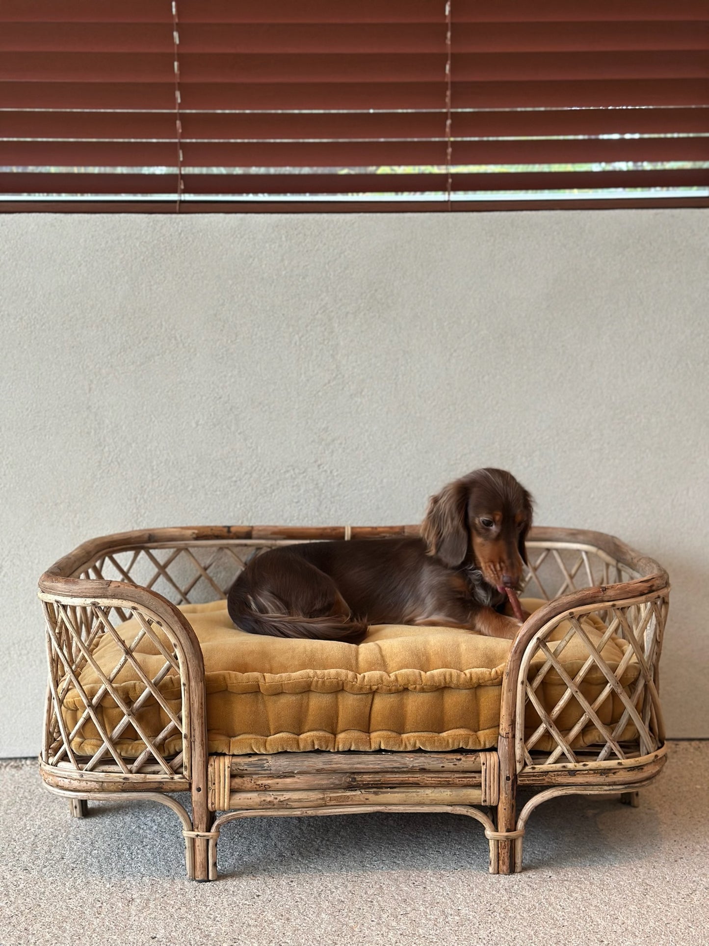Dog basket and pillow