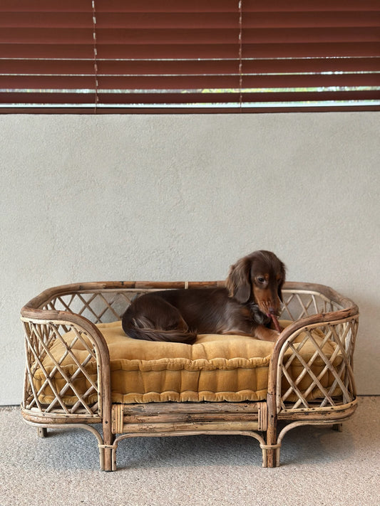 Dog basket and pillow