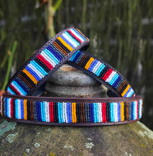 Dog Collars - small