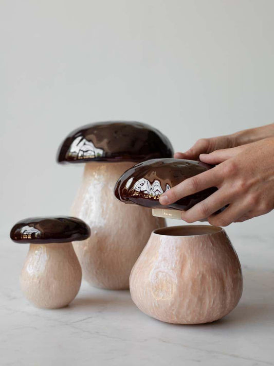 Ceramic mushroom box